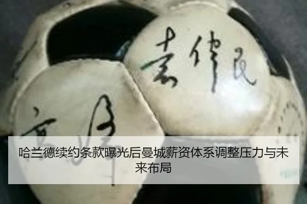 ha-lan-de-xu-yue-tiao-kuan-bao-guang-hou-man-cheng-xin-zi-ti-xi-tiao-zheng-ya-li-yu-wei-lai-bu-ju-3-931.jpg